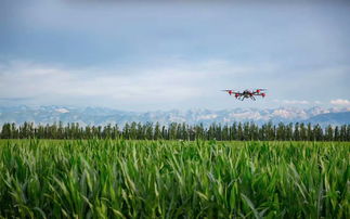 极飞1000架免押金植保无人机,为新疆农业提升效率