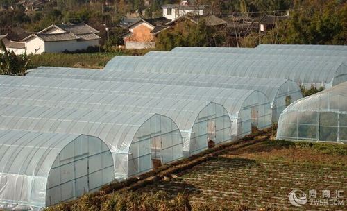 蔬菜大棚厂家 温室大棚安装 温室大棚建设就找恒丰益农农业开发有限