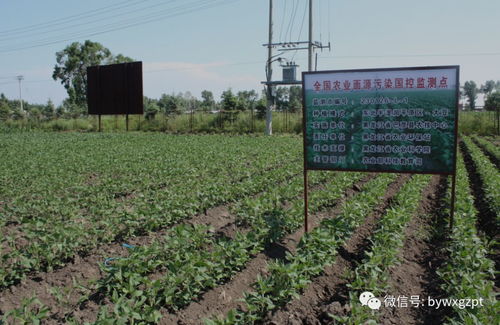 巴彦县农业科学技术推广中心 科技创新助力,农业发展农民增收